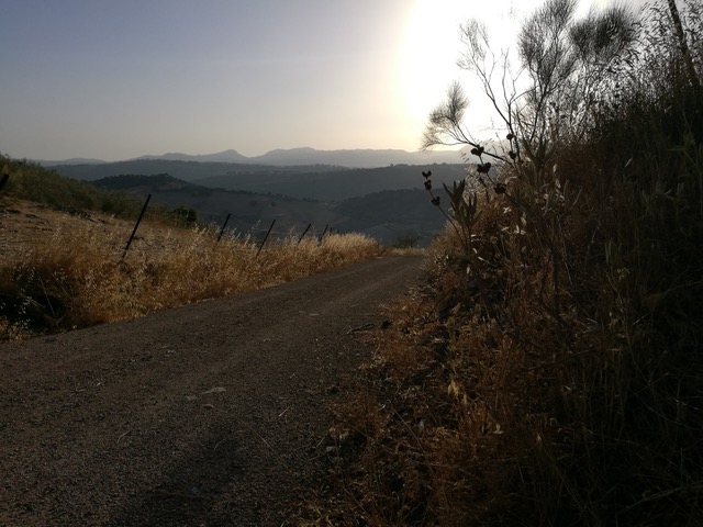 Camino just after sunrise. Photo © snobb.net